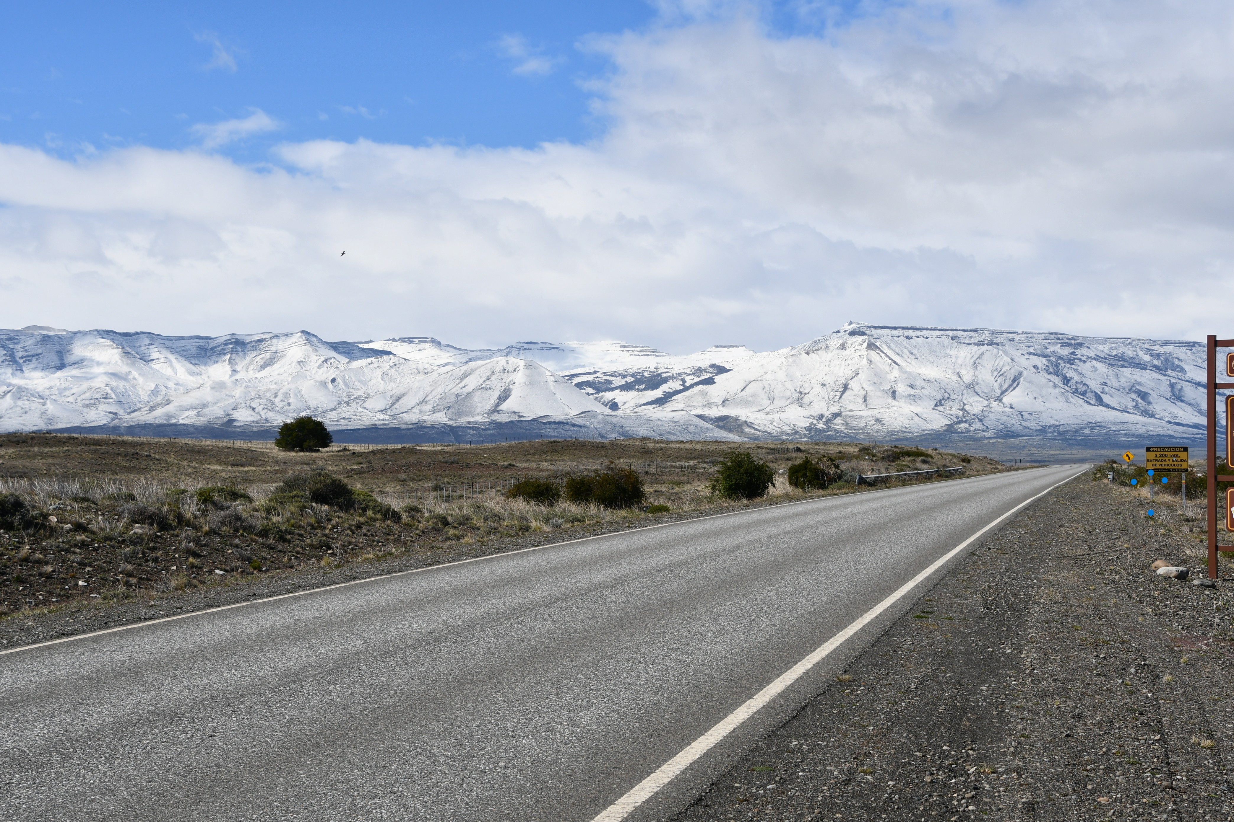 Calafate foto 7